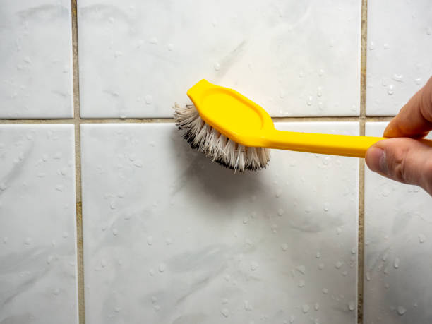 Best Toxic Mold Removal  in Barbourville, KY