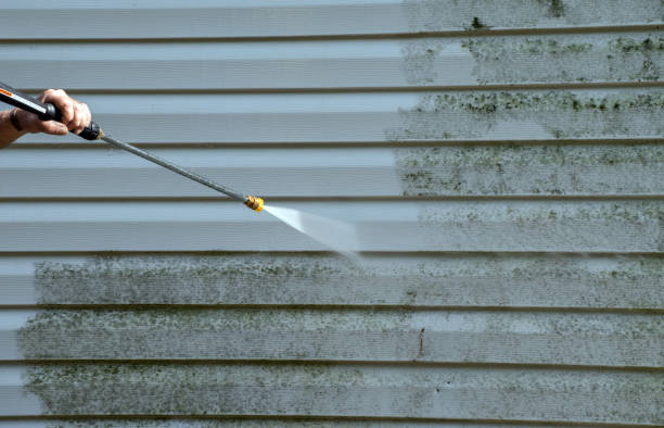 Professional Mold Removal in Barbourville, KY