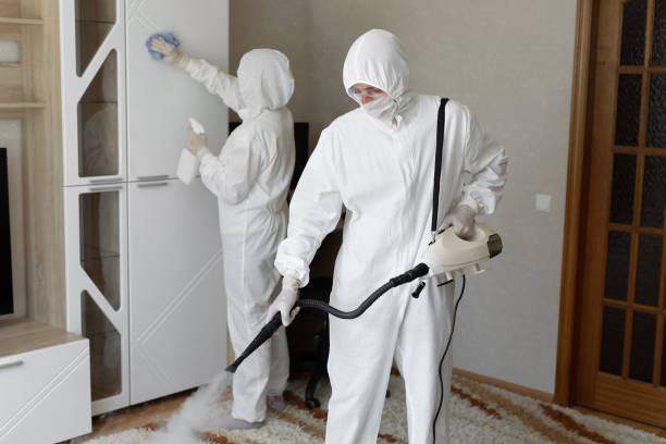Office Mold Removal Services in Barbourville, KY